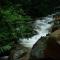 Ayatana Coorg