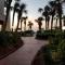 The Palms Resort-Oceanfront - Myrtle Beach