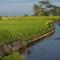 Bali Sawah Indah