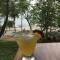 Cocobolo Beach Boutique Hotel