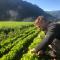 Agriturismo Soreie - Farmstay - Vigo di Fassa