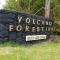 Volcano Forest Inn Volcano Forest Inn
