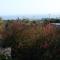 ocean view