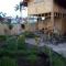 Little Woodstock Homestay - Gili Trawangan