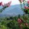 "Alle Montanine" Villa Poggio