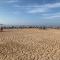 Beach Benidorm