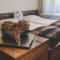 Appartement Sport Girbl