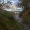 Dolphin View Hillockhead