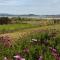 Foto: The Little Farm Coromandel 29/39