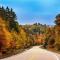 Blue Spruce Bed and Breakfast Muskoka