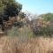 Aloes Bush Stay - Hoedspruit