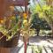 Casa Mayoral B&B Pet friendly