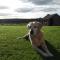 Helens Self Catering