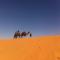 Sahara Desert Camp - Adrouine