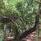 Palm Grove Service Villa