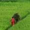 Shanta Ghar A Rustic Guesthouse
