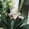 El Homestay Bali