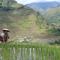 Batad Transient House - Banaue