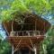 Back of Beyond - Wild Haven