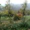Cascina Baresane