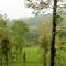 Vythiri Stream View