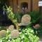 Ecologis du Vignoble