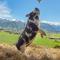 Kaikoura, Cubby House Stay - Kaikoura