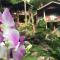 Phi Phi Green Hill Resort