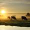 Ruyge Weyde Logies, Eco Farm - Oudewater