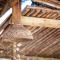 Capricorn Beach Cottages