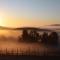 Croad Vineyards - The Inn