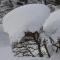 Lodge Hotel Les Rousses