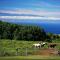 Kohala Lodge- Vacation Rental House - Hawi