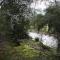 shady brook cottages - Harrietville