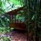 Foto: Huella Verde Rainforest Lodge 19/23
