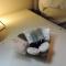 5 Bed Camberley Airport Accommodation