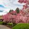 Mirabeau Park Hotel - Spokane Valley