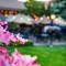 Mirabeau Park Hotel