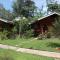 Chiang Dao Story Camp