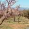 Casa en la Plaza, Hinojares - Ideal for exploring the area