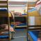 SnowBunnys BackPackers Hostel
