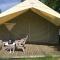 Camping Montmorency photo 8