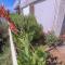 Apartments Terin