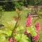 Ecologis du Vignoble
