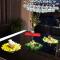 Luxury apartment Prestige Villa Bellevue - Vis