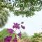 Soda Resort - Kamphaeng Phet