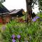Chiang Dao Reset - Чианг Дао