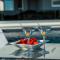 Villa Magnifica apartments with pool