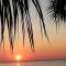 The Palms Resort-Oceanfront