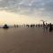 Panoramic view on beach, ships, sea - place to be - Остенде